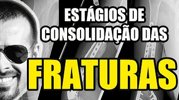 Como ocorre o processo de regeneração de uma fratura óssea?