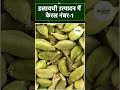 भारत में इलायची उत्पादन के टॉप 5 राज्य ! #CardamomFarming #Elaichi #SpiceFarming