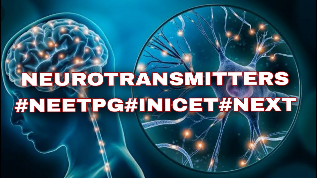 NEUROTRANSMITTERS MADE EASY 