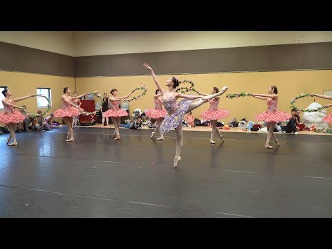 Le Corsaire's Glorious Pirate World Come Alive!