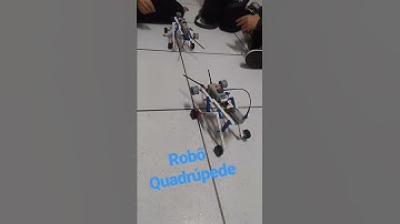 Robô Quadrúpede