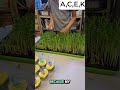 Hype Your Kids Up For Eating Vegetables By Growing Microgreens Healthykids Growkids