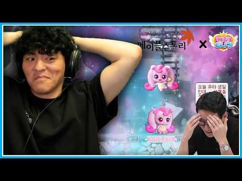 아들도 끊은 티니핑이 어쩌다┃메이플스토리