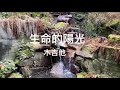 🌞 生命的陽光 🌞（詞曲：張炳輝；演唱：木吉他） (1977～1984 世代的熟悉感! 💞)  #台灣校園民歌
