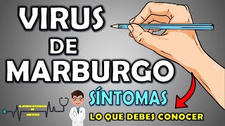 ¿Qué es el VIRUS DE MARBURGO? 10 Preguntas que debes conocer sobre la ENFERMEDAD POR EL MARBUG VIRUS