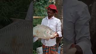 ওরে কাতলা মাছের গেম দেখলেই শিকারির মন শান্তিAmazing Katla Fish Hunting Video in 2024#virals #fishin