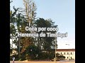 Coco por coca: herencia de Timbiquí (letra/lyrics)