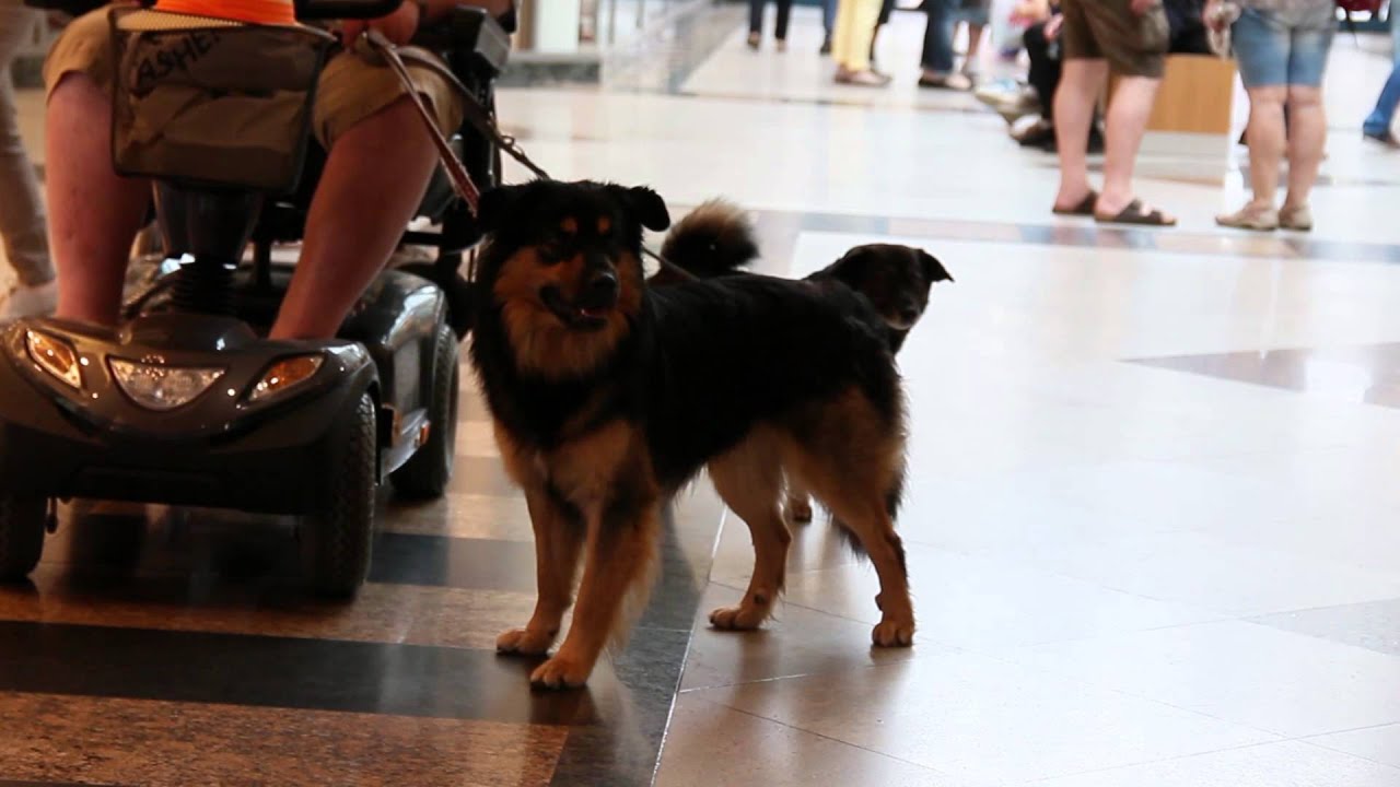 Flashmob Shopping Arkaden 2015