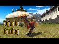 FFXIV: Yojimbo Barding