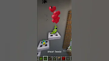 كيب تعمل قفص ببغاء فى ماين كرافت 