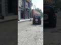 Giant DOG! Dire Wolf? Returns | Protects Car | Film Studio # Shorts