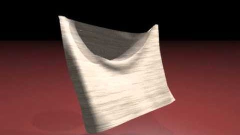 A Simple Cloth Simulation