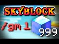 An admin used CREATIVE MODE on my island | Solo Hypixel SkyBlock [202]
