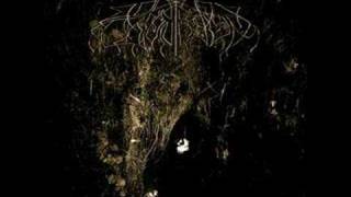 Wolves in the Throne Room - Dia Artio