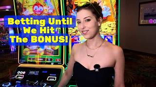 Betting $1000 Until We Get The Bonus On Bingo Frenzy Stampede Tiger Slots! El Cortez Casino Vegas