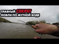 Ловля форели по мутной воде ! Легко и просто !