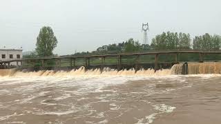 电站泄洪 Flood discharge from power plants 1 by 万物有声 49 views 4 weeks ago 1 hour, 5 minutes