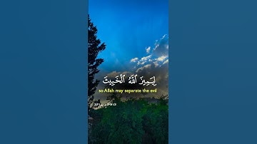 آيات//أكتب شيء تؤجر عليه🌺🤍 #اكسبلور #quran #دويتو #المصحف #الرحمن
