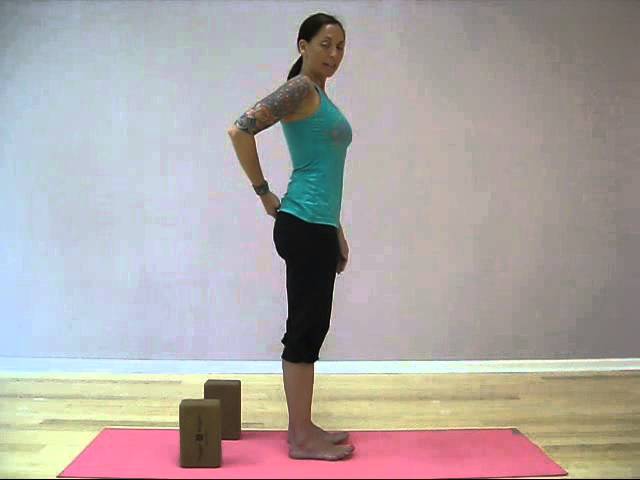 Teachasana.com Teaching Chaturanga 