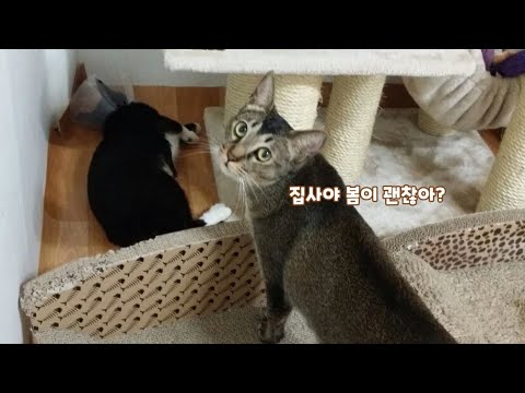 콩님이가 봄여사 많이 걱정해줬던 이야기