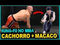 KUNG-FU NO MMA??? ESTILO CACHORRO & MACACO LOUCO. EP.2