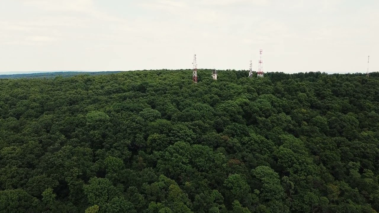 Mór Vértes Csóka-hegy