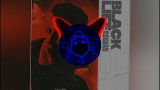 BLACK LIFE [Bass Boosted]  | Navaan sandhu | MXRCI | New Punjabi Song | Latest Punjabi Song |