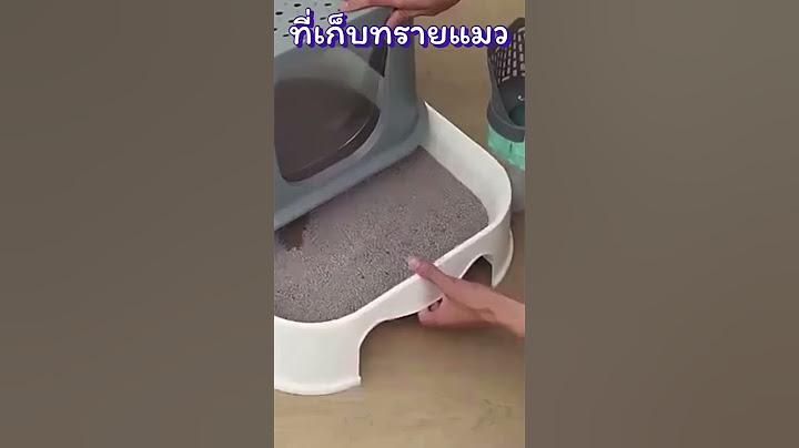 ที่ตักทรายแมวพร้อมใช้ พร้อมเก็บในอันเดียว ง่ายในการใช้งาน