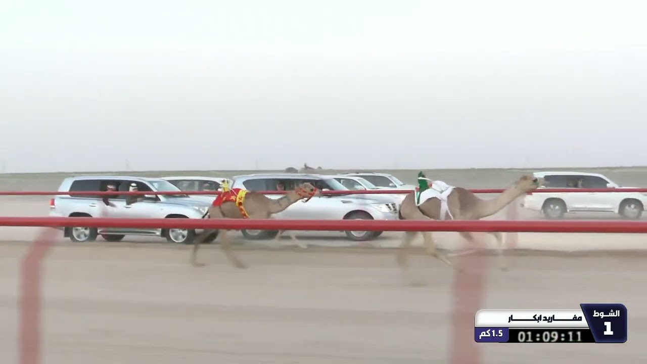 1 الشوط الأول مفاريد ابكار السبت 28 02 2026