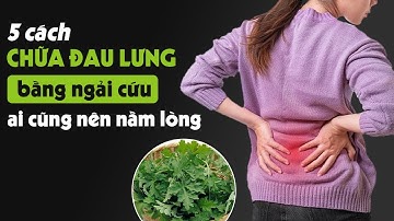 Bật mí 5 cách chữa đau lưng bằng lá ngải cứu vừa rẻ vừa tốt