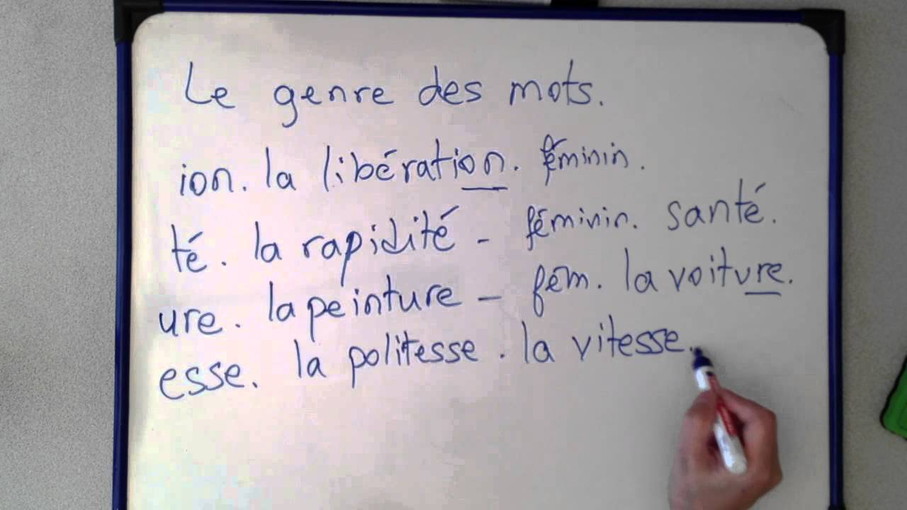 Fransızca Dersler - Kelimelerin Cinsiyetini Belirleme - 1 - YouTube