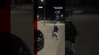 Thumbnail for The humanoid robot, known as Edward Warchocki, was filmed chasing boars in Warsaw, Poland. #BBCNews