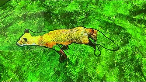 Coloring animals Mode - Magicdynamics Interactive AR Sandbox