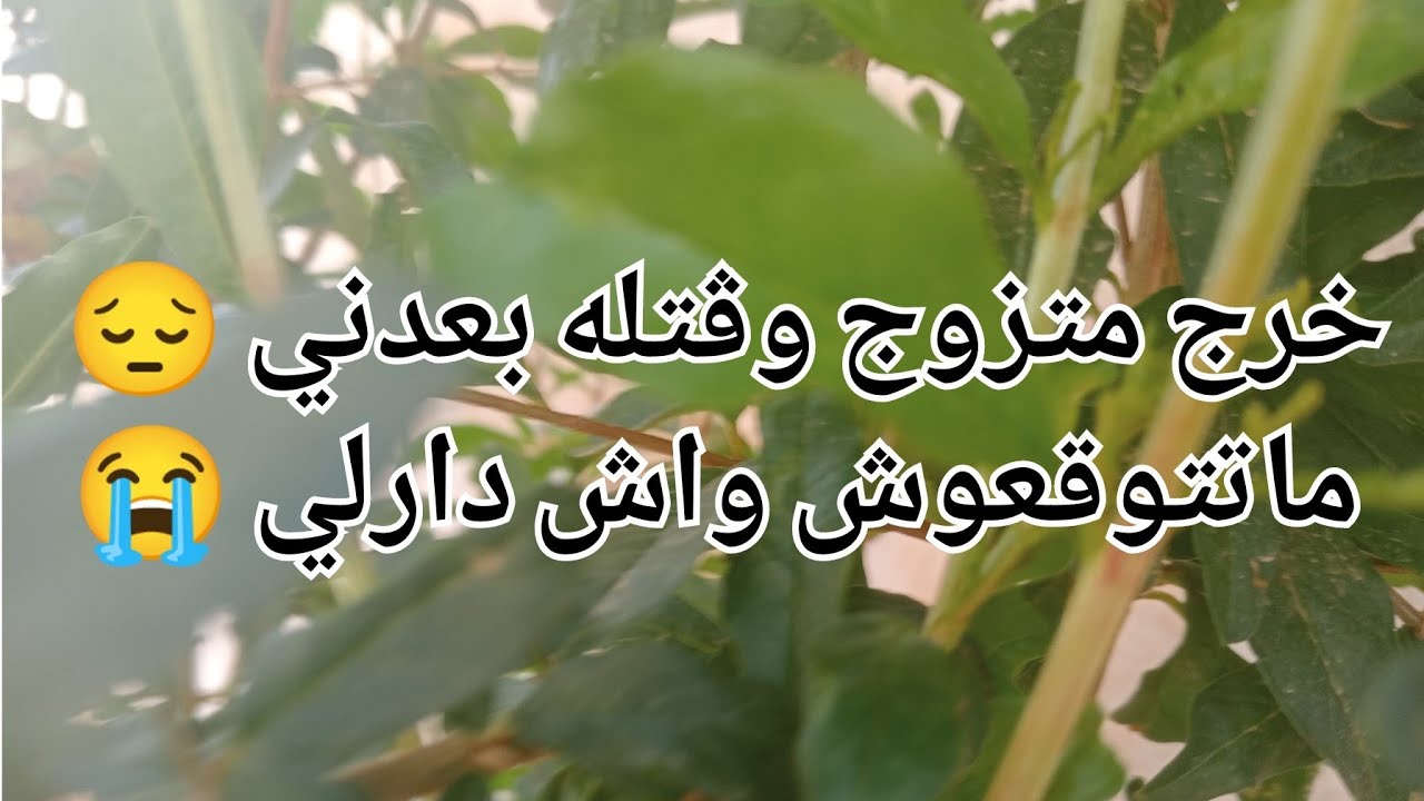 خرج متزوج وڨتله بعدني 😔 ماتتوقعوش واش دارلي 😭😭