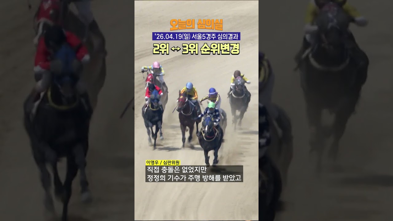 순위가...바뀌었습니다...! #심판 #공정경마