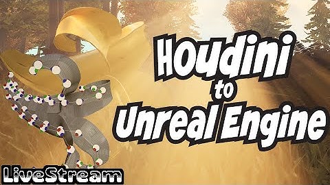 Create a UE Playable Character with Animations from Houdini to Unreal Engine 5