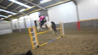 Jumping Murphy 1m25
