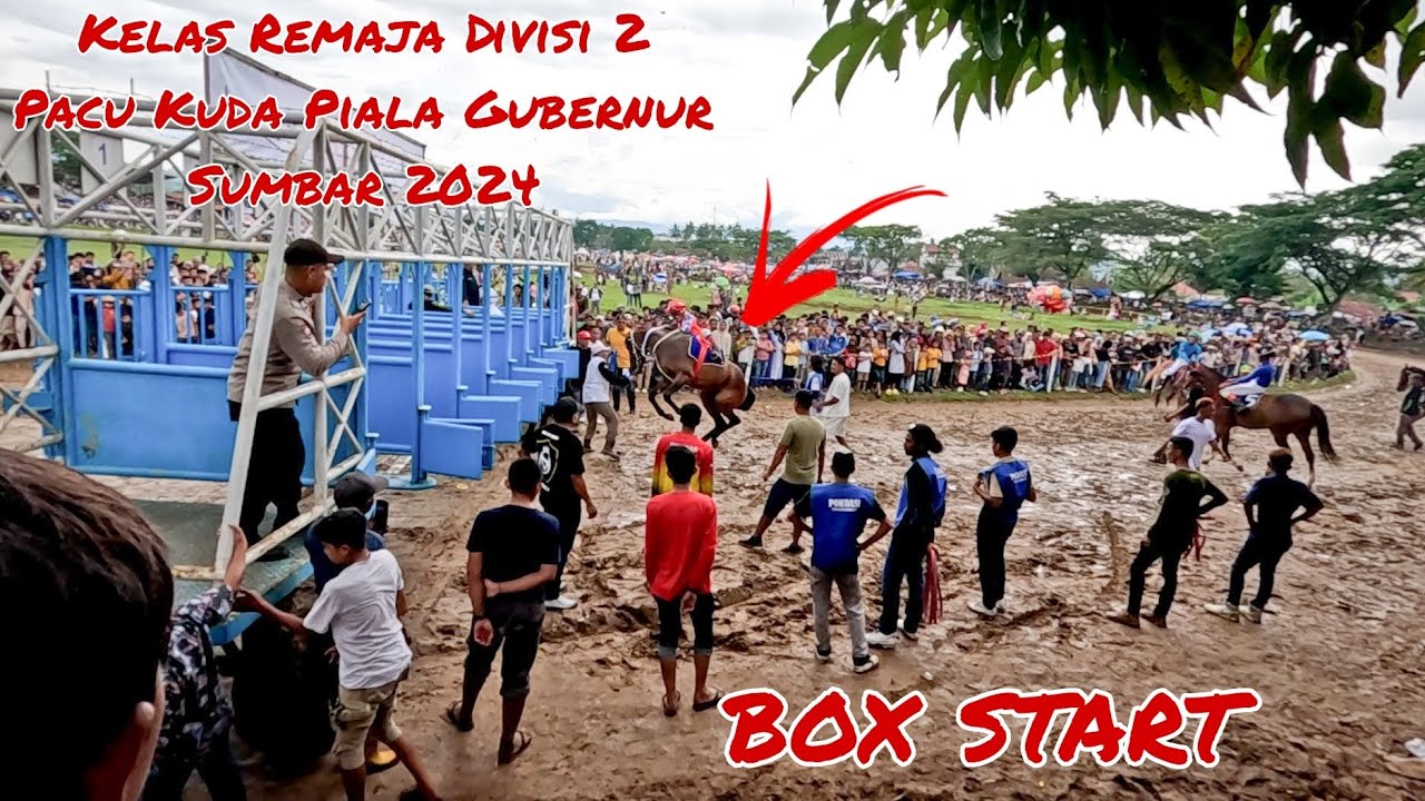Pacu Kuda Piala Gubernur Sumbar 2024❗Klas Remaja Divisi 2