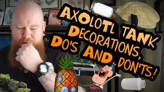 AXOLOTL DECORATION DO'S & DON'TS!