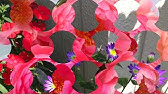赤い花白い花 ウィッシュのギター弾き語りレッスン動画です アコギ用に歌詞とギターコード付き 動画と説明欄 で解説 ギターで歌おうch は ギターに再挑戦するシニア向けギター講座です Youtube 赤い花白い花 ウィッシュのギター弾き語りレッスン動画です アコギ用に歌詞とギターコード付き 動画と説明欄 で解説 ギターで歌おうch は ギターに再挑戦するシニア向けギター講座です Youtube