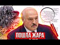 Кибер Жара / Взлом псов Лукашенко | Реальная Беларусь