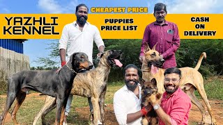 Dogs for sale | Coimbatore Yazhli Kennel | Low Price with Quality Puppies