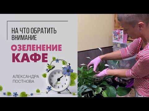 Видео: Къде е растението ферналд?