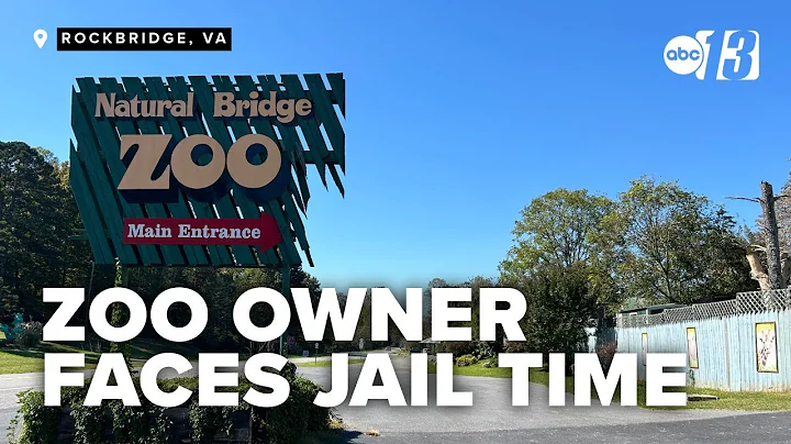 Natural Bridge Zoo owner faces possible jail time over missing baby giraffes