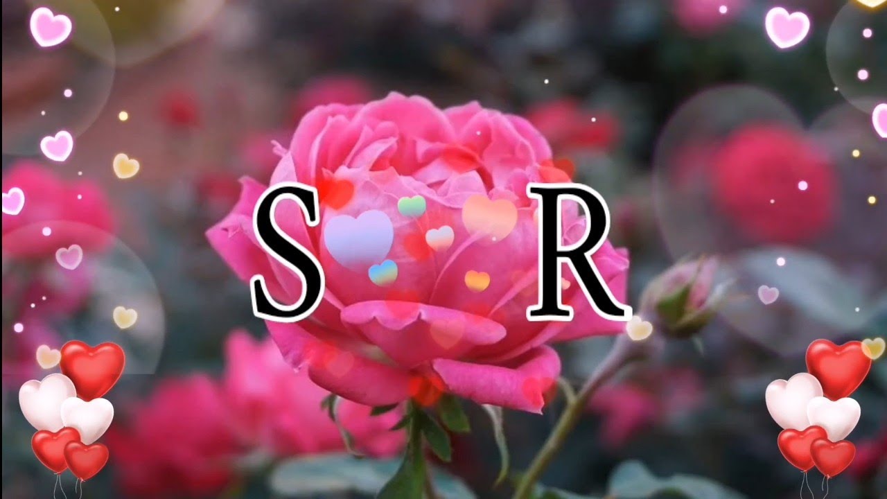 s r love status | sr name status - YouTube