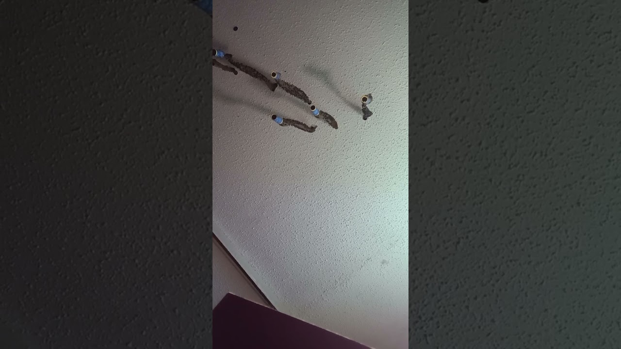 Chapter 1 (2), The Renaissance by Wallace Kay Ferguson