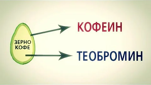 Из чего состоит КОФЕ? Алкалоиды КОФЕИН и ТЕОБРОМИН / Фролов Ю.А.
