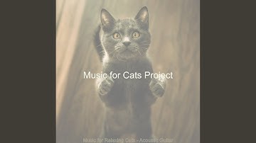 Pulsating Music for Background Music