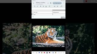 Android Google Docs. Таблиці та зображення