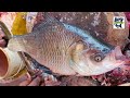 Live carp fish cutting skills in bangladesh fish market 2020